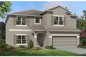 22185 Woodmen Hall Dr, LAND O LAKES