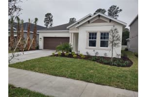 2644 Leafwing Ct, PALM HARBOR 2644 Leafwing Ct, PALM HARBOR