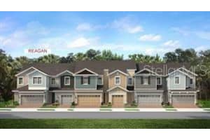 34180 Cinder Way, WESLEY CHAPEL