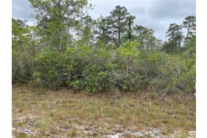 0 Bougainvillea Dr, INDIAN LAKE ESTATES