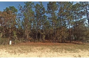 Lot 5 Sw 166th Court Rd, DUNNELLON Lot 5 Sw 166th Court Rd, DUNNELLON