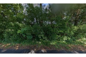 1590 Se 55th Ave, OCALA