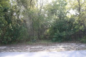 W Starr Ave, LAKE WALES