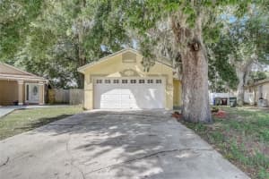 1342 Oak Grove Ct, KISSIMMEE