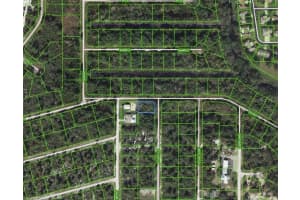 1218 Ailanthus St, LAKE PLACID