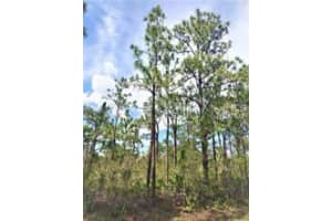 Lot 15 Ixora Dr, INDIAN LAKE ESTATES