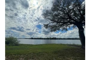 330 Callitris Ave, POLK CITY