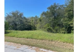 Kissimmee Way, KISSIMMEE