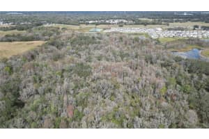 Lot 1 Land Rd, ZEPHYRHILLS