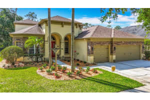 3620 Cordgrass Dr, VALRICO