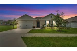 3140 Caspian Feather St, BARTOW