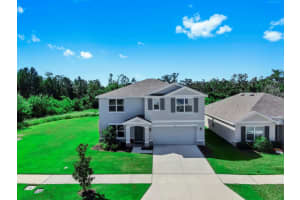 3293 Silver Date Dr, WIMAUMA