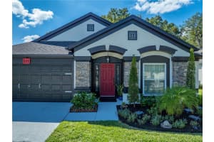 5207 Algerine Pl, WESLEY CHAPEL 5207 Algerine Pl, WESLEY CHAPEL