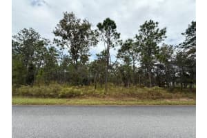 Nw Amberjack Ave, DUNNELLON