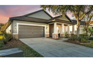6247 Hawk Grove Ct, WESLEY CHAPEL