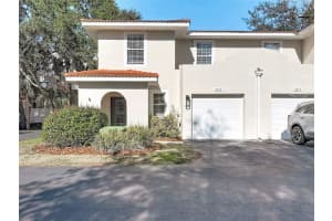 3119 Santorini Ct, TAMPA