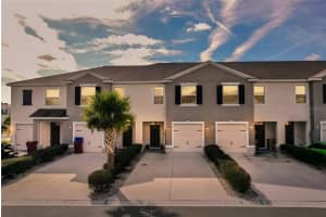 3551 Marigold Patch Ct, PLANT CITY 3551 Marigold Patch Ct, PLANT CITY