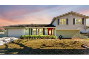 1203 Brandon Lakes Cir, VALRICO