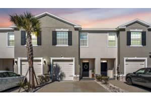 3532 White Dandelion Ct, PLANT CITY