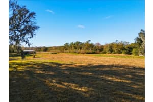 2016 Thornhill Rd, AUBURNDALE 2016 Thornhill Rd, AUBURNDALE