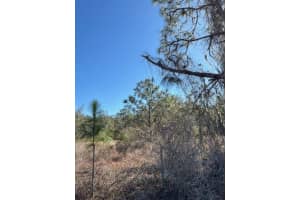 Old Grade Rd, POLK CITY