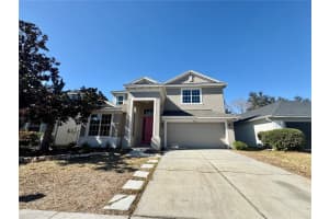 4307 Rustic Pine Pl, WESLEY CHAPEL