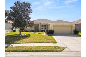 3406 Fiddle Leaf Way, LAKELAND