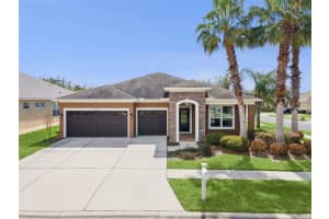 31518 Bearded Oak Dr, WESLEY CHAPEL