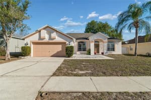 4318 Brandon Ridge Dr, VALRICO