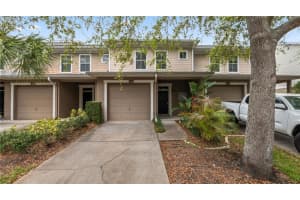 7910 Bally Money Rd, TAMPA