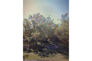 1348 Tallahassee Ct, KISSIMMEE