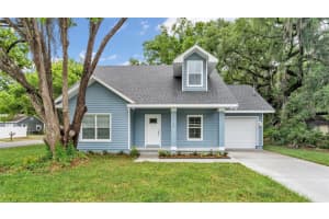 1315 E Frances Ave, PLANT CITY