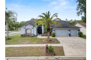 935 Balsamina Dr, BRANDON