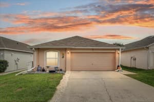 30257 Birdhouse Dr, WESLEY CHAPEL