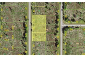 238, 246 & 254 Morales St, PORT CHARLOTTE