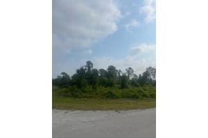 Dozier Ter, NORTH PORT