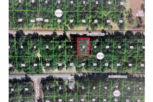 1666 E Carson Rd, DUNNELLON
