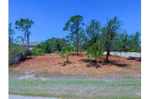 116 Redwood Rd, ROTONDA WEST 116 Redwood Rd, ROTONDA WEST