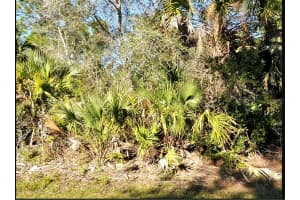 Wild Goose Dr, NORTH PORT