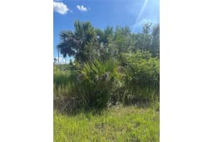 Snowdrift Ter, NORTH PORT
