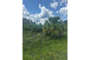 Fritz Ave, NORTH PORT