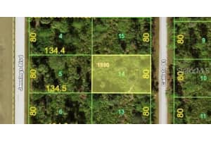 3189 Callisto St, PORT CHARLOTTE