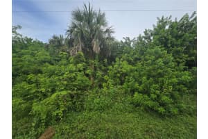 4169 Joseph St, PORT CHARLOTTE