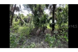 Alpen Ave, NORTH PORT