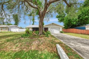 581 Crocus Rd, VENICE