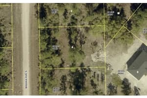315 Briggs Ave S, LEHIGH ACRES