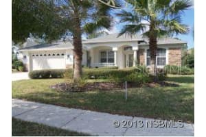529 Nature Creekln, NEW SMYRNA BEACH