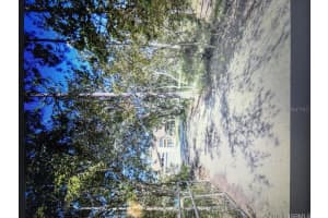 204 Coniferln, ORMOND BEACH 204 Coniferln, ORMOND BEACH