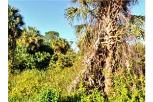 Snover Ave, NORTH PORT