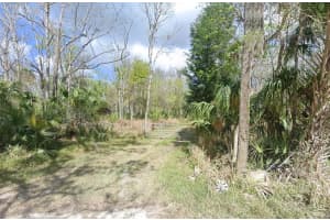2625 Volco Rd, EDGEWATER
